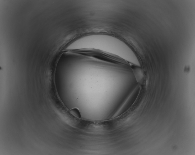 X0000089430260200707131851