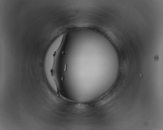X0000089430261200707131851