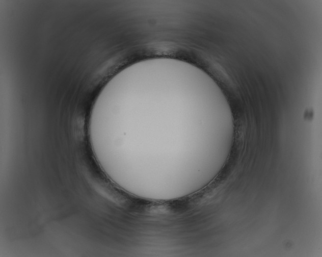 X0000089430262200707131851