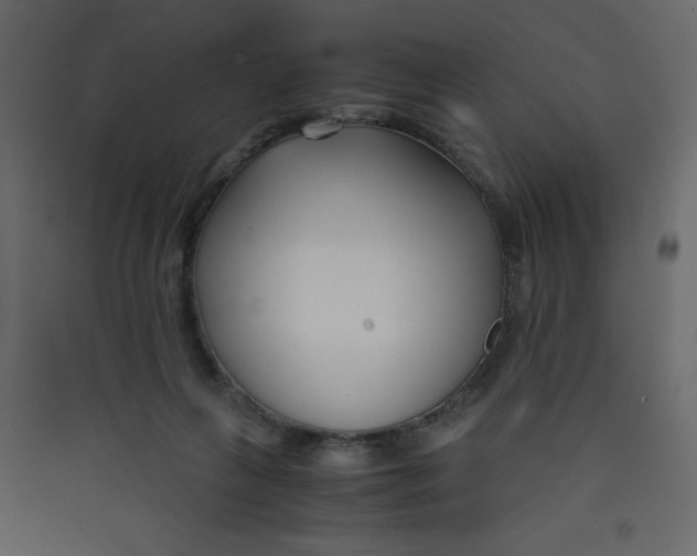 X0000089430263200707131851