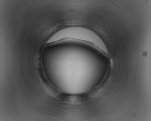 X0000089430264200707131851