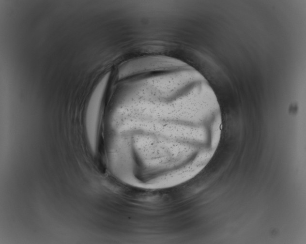 X0000089430267200707131851