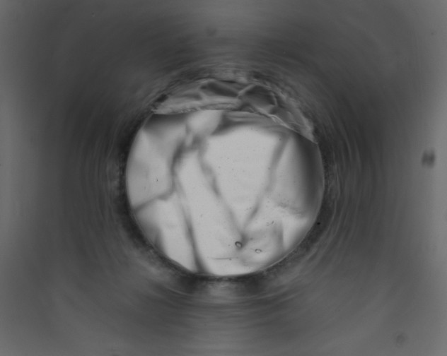 X0000089430268200707131851