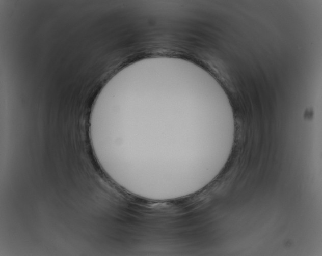 X0000089430269200707131851