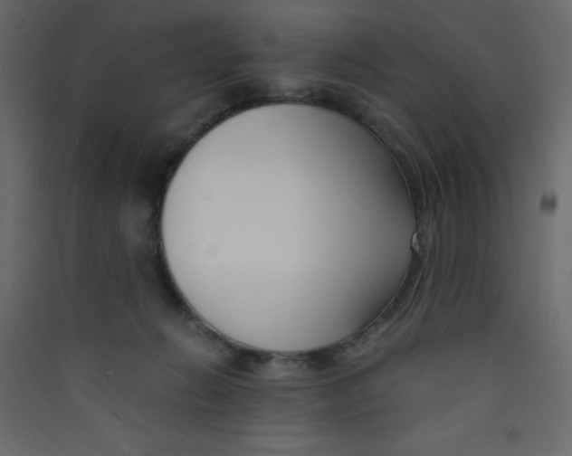 X0000089430270200707131851
