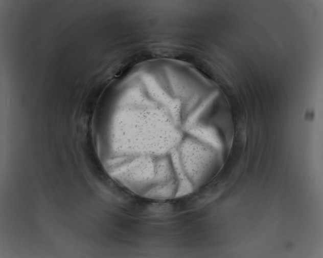 X0000089430271200707131851