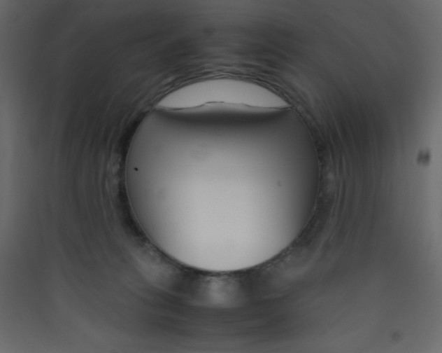 X0000089430275200707131851