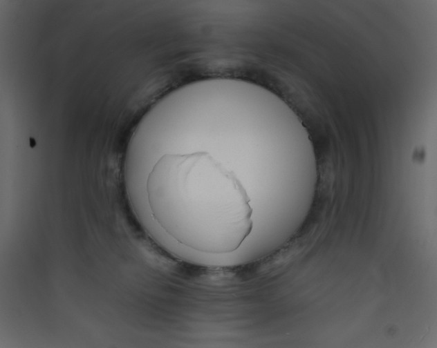 X0000089430278200707131851