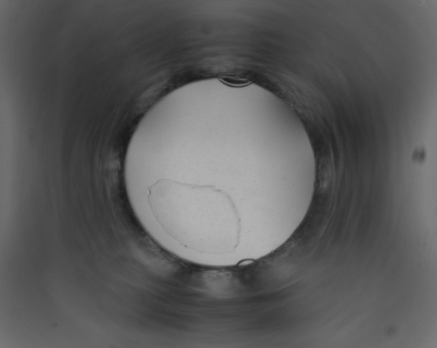 X0000089430279200707131851