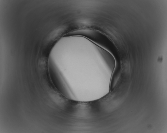X0000089430280200707131851