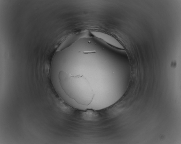 X0000089430281200707131851