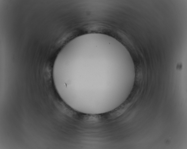 X0000089430282200707131851