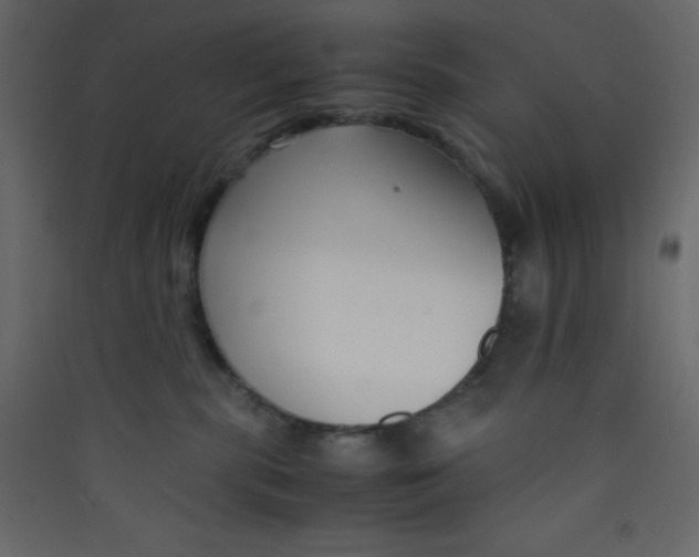 X0000089430283200707131851