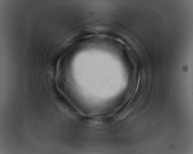 X0000089430284200707131851