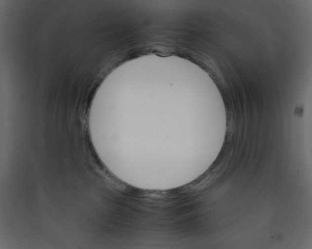 X0000089430285200707131851