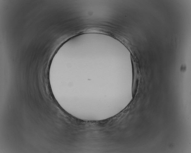 X0000089430289200707131850