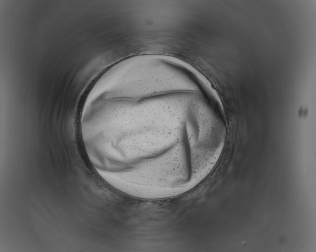 X0000089430290200707131850