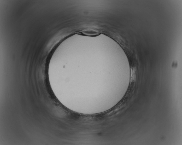 X0000089430291200707131850