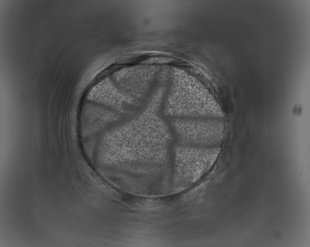 X0000089430293200707131850