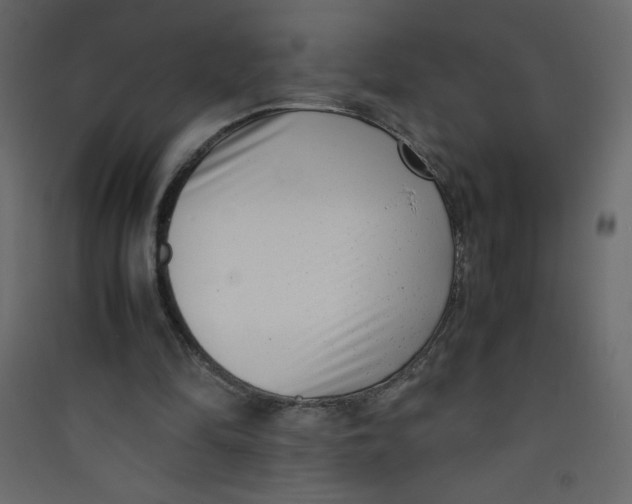 X0000089430294200707131850