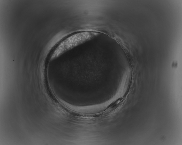 X0000089430295200707131850