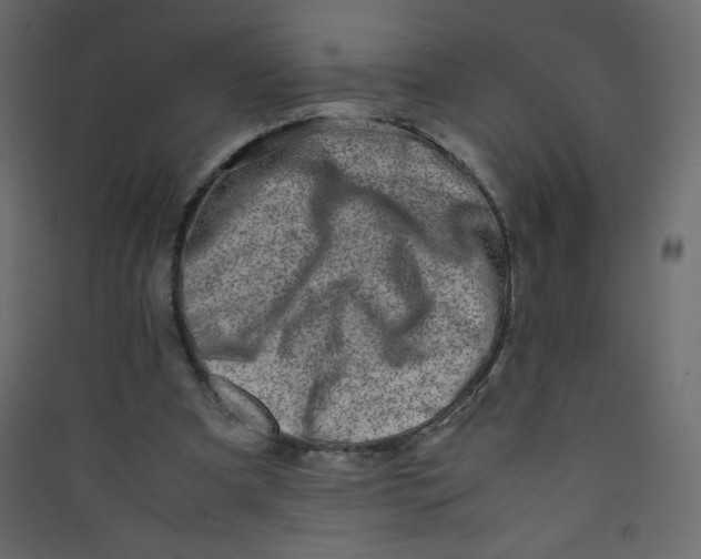 X0000089430297200707131850