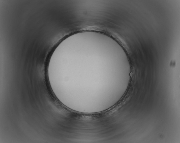 X0000089430298200707131850