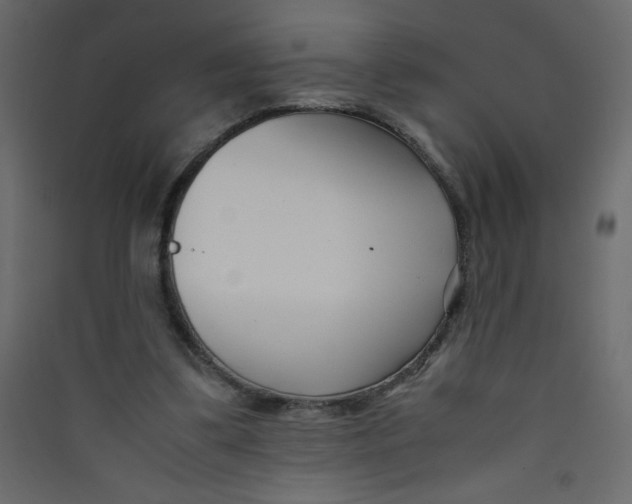 X0000089430299200707131850