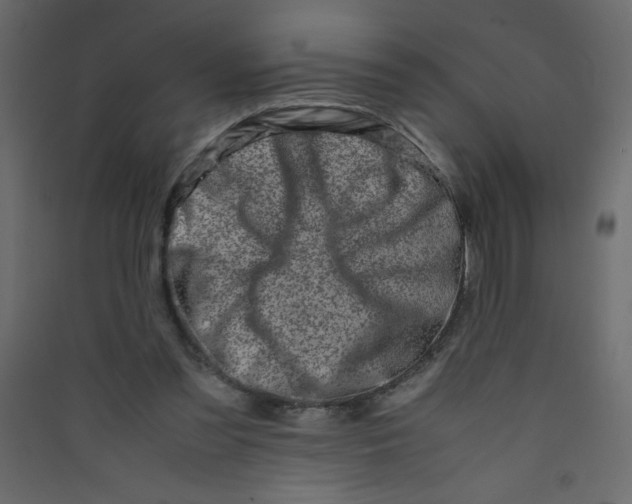 X0000089430301200707131850