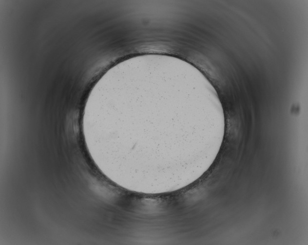 X0000089430302200707131850