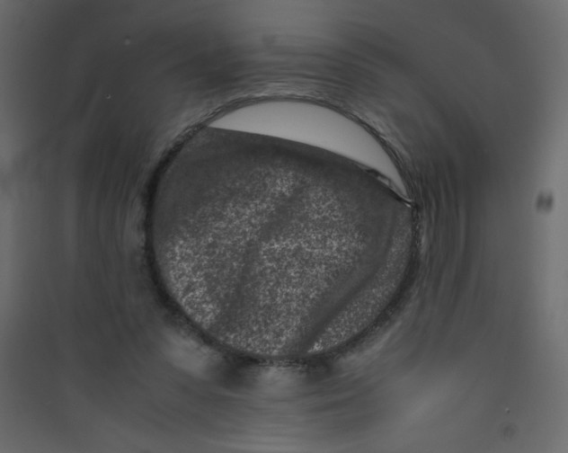 X0000089430303200707131850