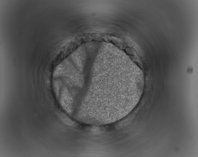 X0000089430305200707131850