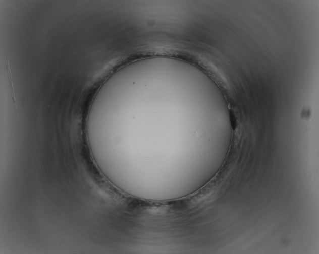 X0000089430306200707131850