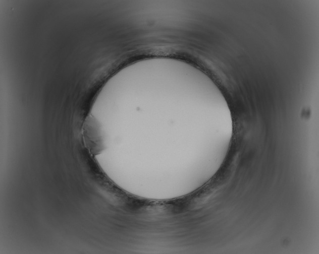 X0000089430307200707131850