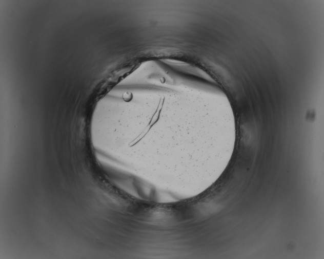 X0000089430308200707131850
