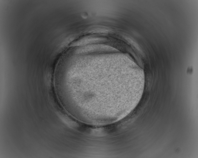 X0000089430309200707131850