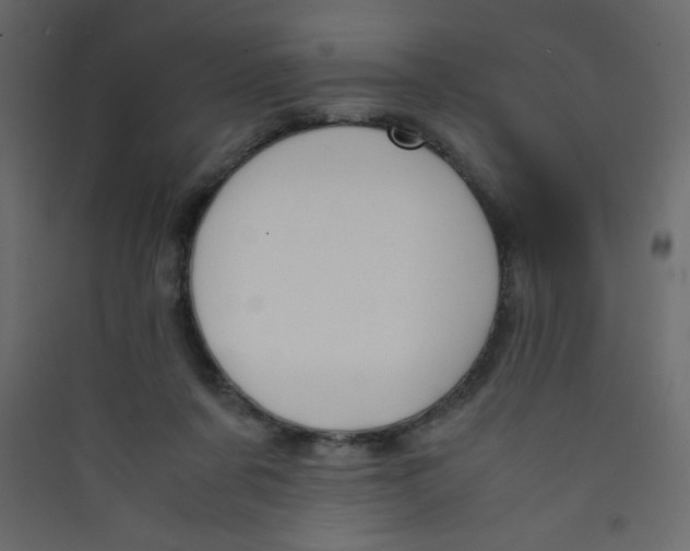 X0000089430311200707131850