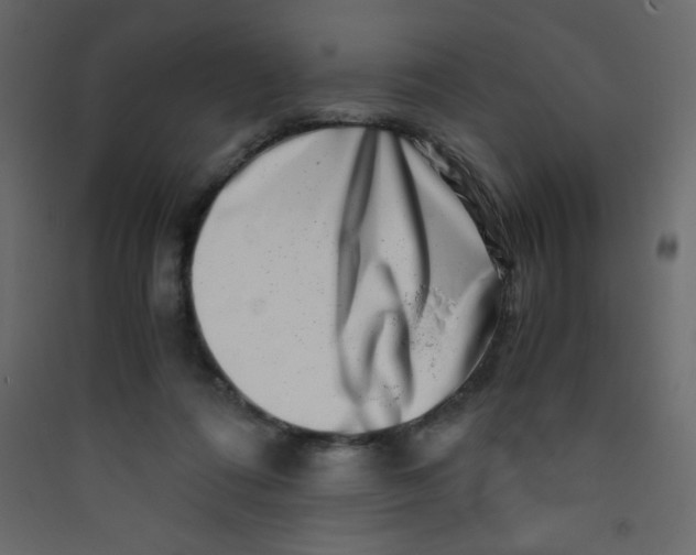 X0000089430312200707131850