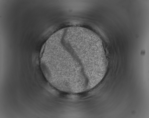 X0000089430313200707131850