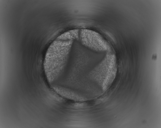 X0000089430314200707131850