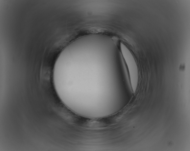 X0000089430315200707131850
