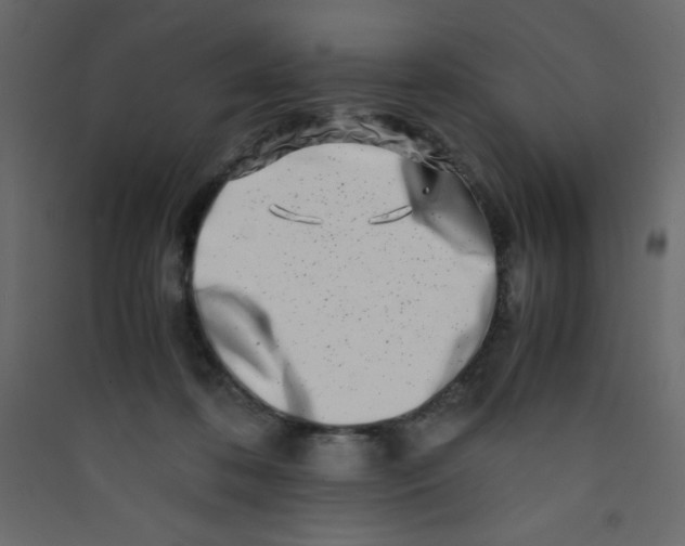 X0000089430316200707131850