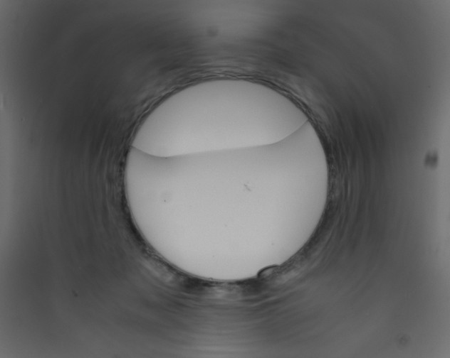 X0000089430317200707131850