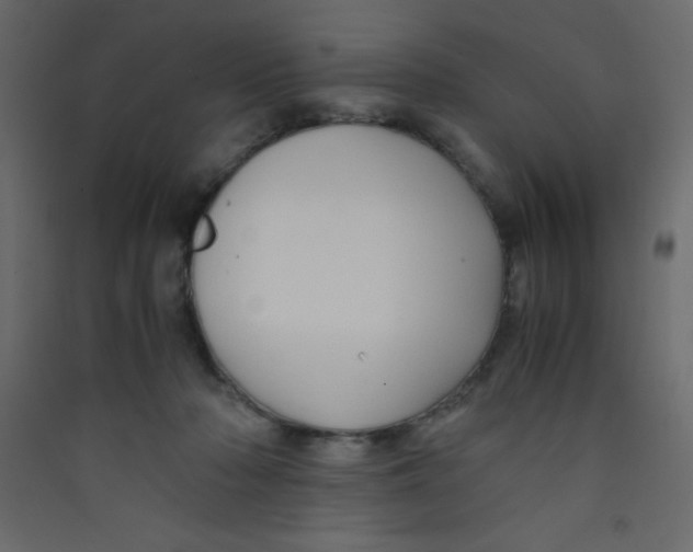 X0000089430318200707131850