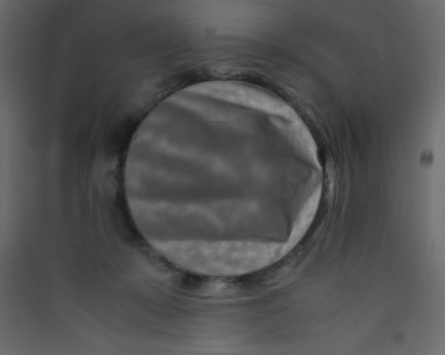 X0000089430319200707131850