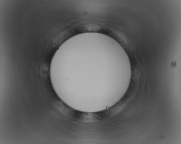 X0000089430321200707131850