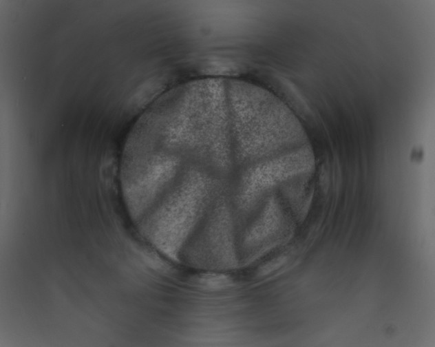 X0000089430322200707131850