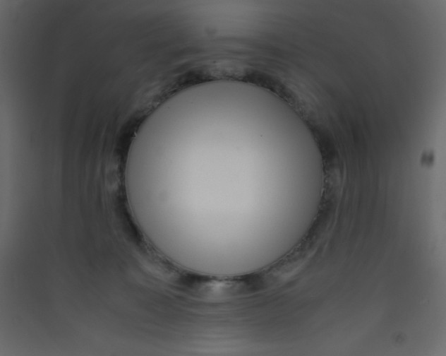 X0000089430323200707131850