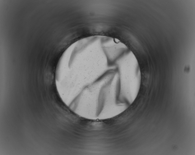X0000089430324200707131850
