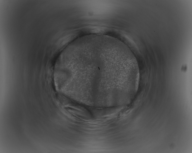 X0000089430325200707131850